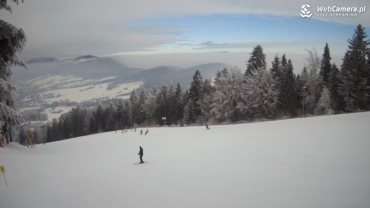 Kasina SKI - widok na trasy NOWOŚĆ - 02 luty 2026, 10:02