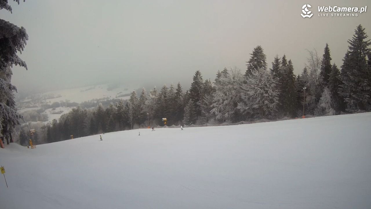 Kasina SKI - widok na trasy NOWOŚĆ - 01 luty 2026, 09:27
