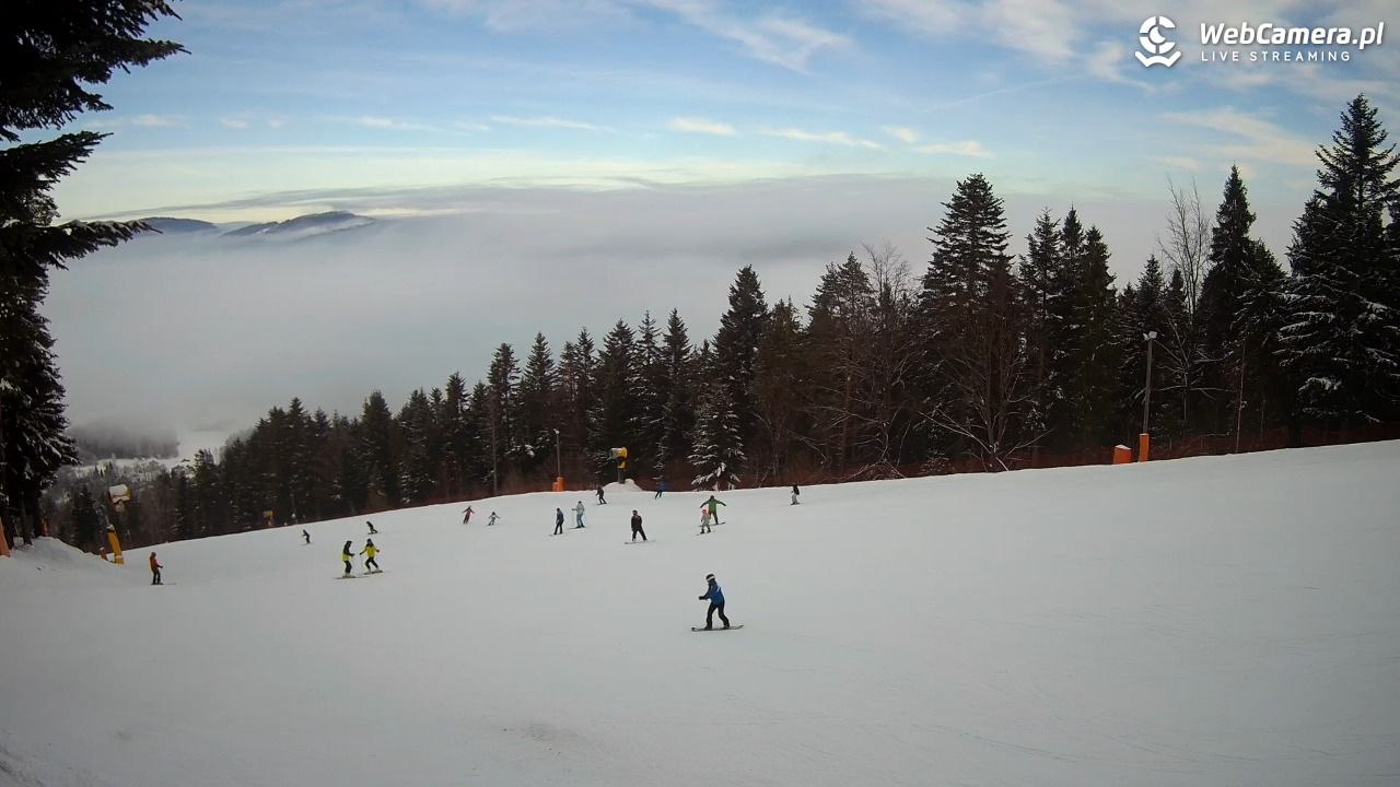 Kasina SKI - widok na trasy NOWOŚĆ - 30 listopad 2025, 09:10
