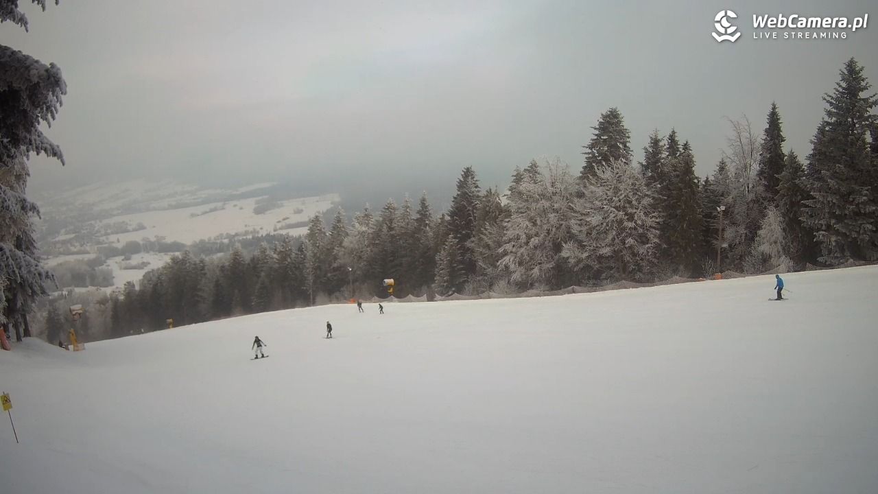 Kasina SKI - widok na trasy NOWOŚĆ - 01 luty 2026, 10:23