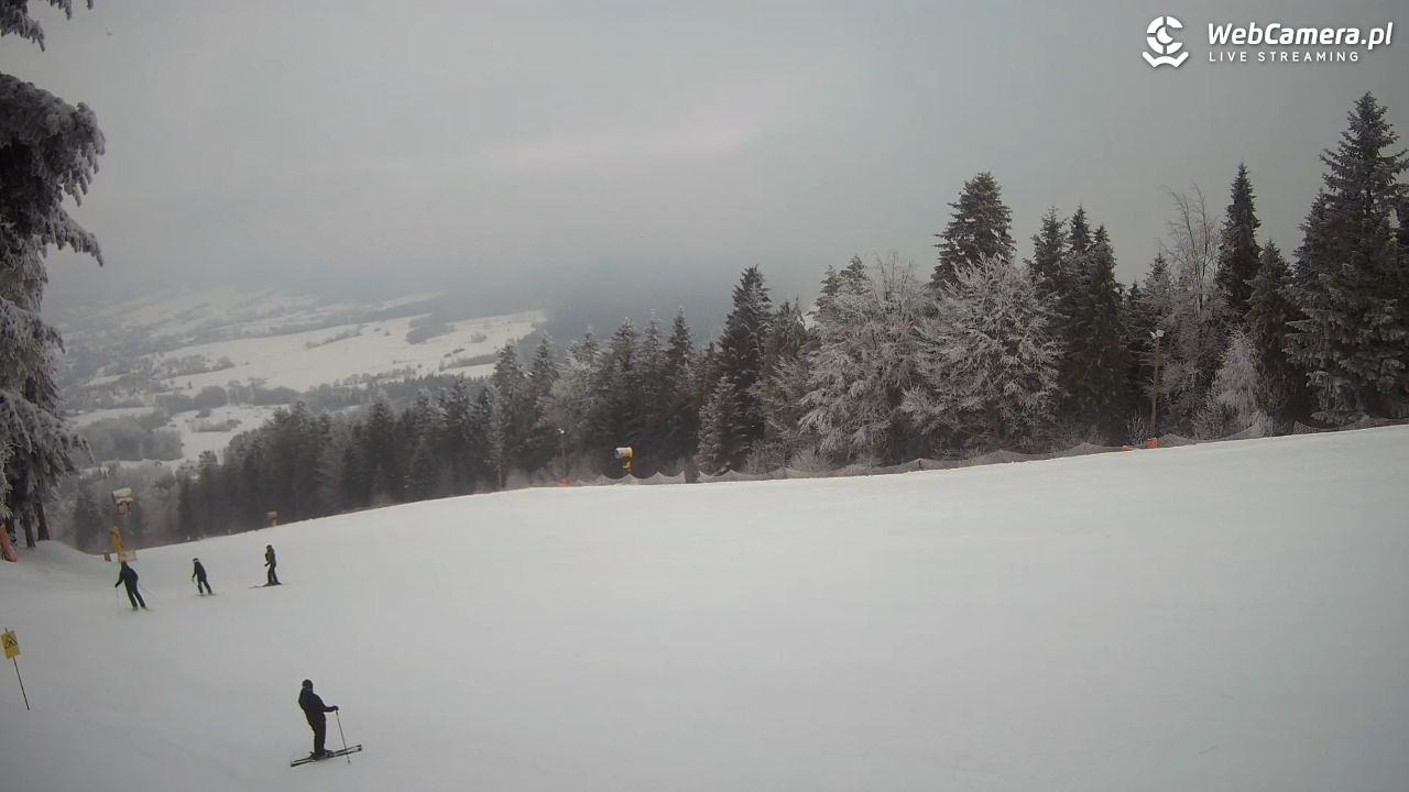 Kasina SKI - widok na trasy NOWOŚĆ - 01 luty 2026, 10:35