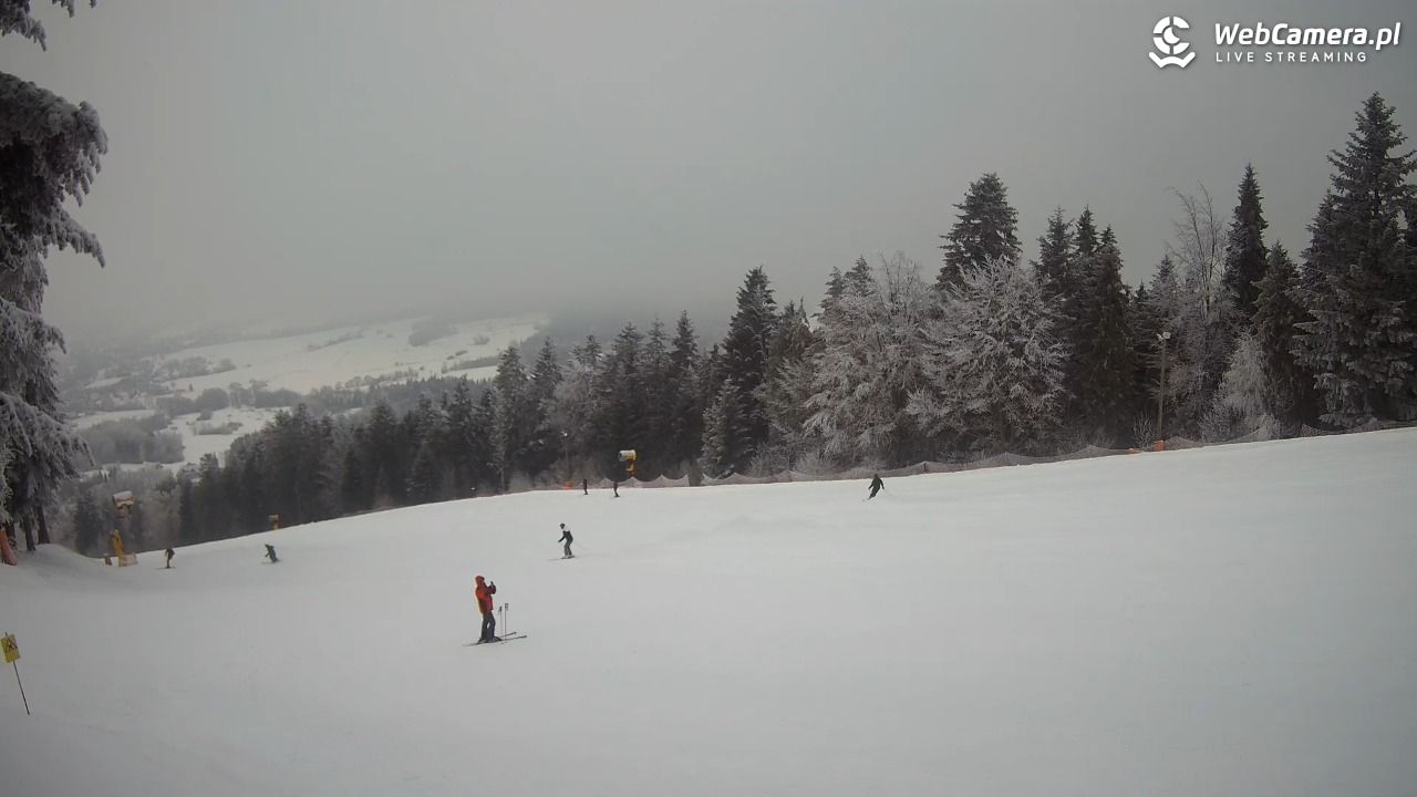 Kasina SKI - widok na trasy NOWOŚĆ - 01 luty 2026, 12:09
