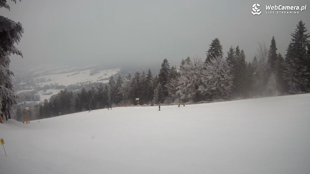 Kasina SKI - widok na trasy NOWOŚĆ - 01 luty 2026, 10:44