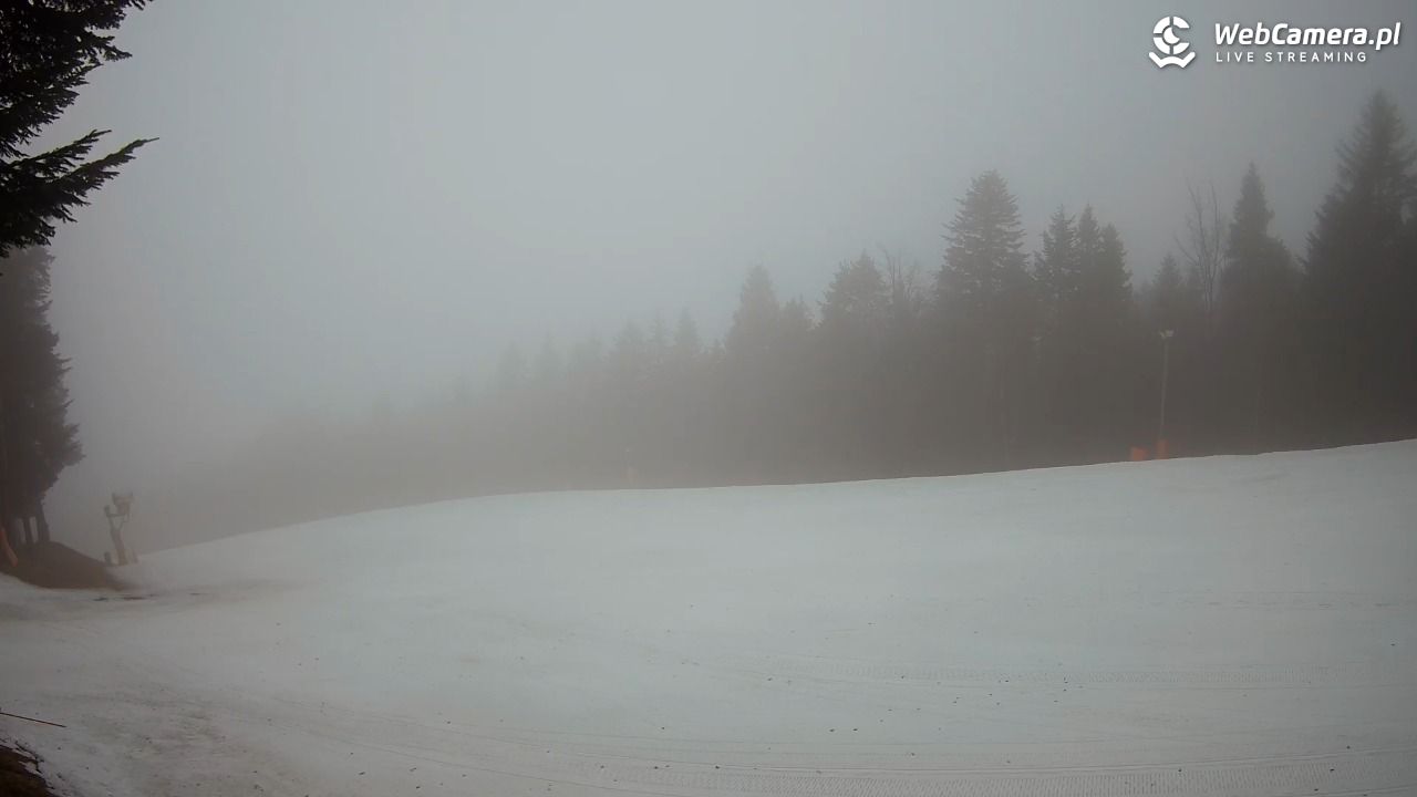 Kasina SKI - widok na trasy NOWOŚĆ - 17 marzec 2026, 17:15