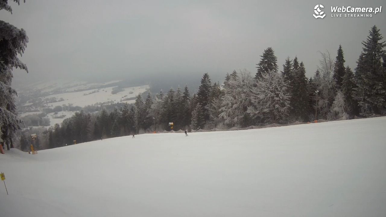 Kasina SKI - widok na trasy NOWOŚĆ - 01 luty 2026, 10:32