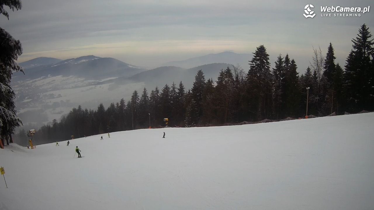 Kasina SKI - widok na trasy NOWOŚĆ - 04 luty 2026, 12:49