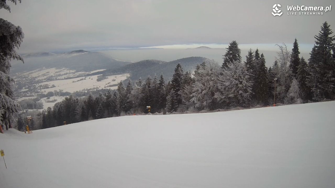 Kasina SKI - widok na trasy NOWOŚĆ - 02 luty 2026, 08:46