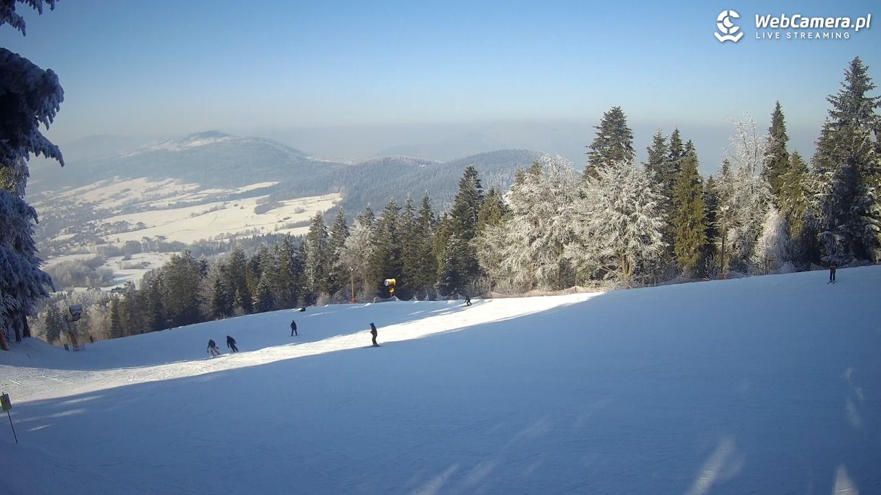 Kasina SKI - widok na trasy NOWOŚĆ - 03 luty 2026, 13:13