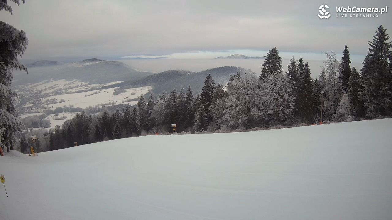 Kasina SKI - widok na trasy NOWOŚĆ - 02 luty 2026, 09:05