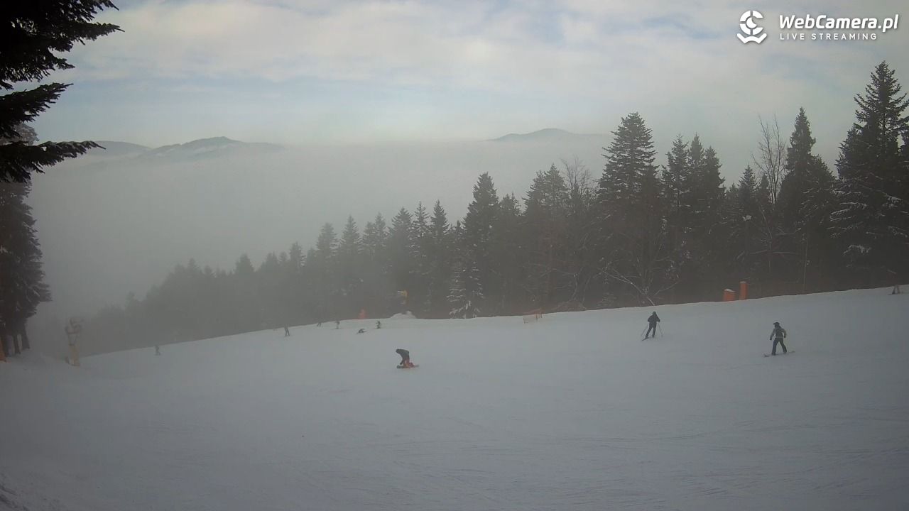 Kasina SKI - widok na trasy NOWOŚĆ - 30 listopad 2025, 11:28