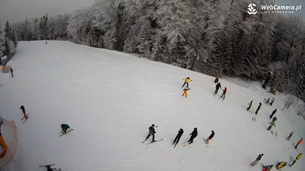 KASINA - SKI górna stacja wyciągu - 01 luty 2026, 11:20