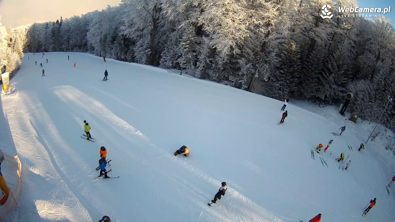 KASINA - SKI górna stacja wyciągu - 01 luty 2026, 09:14
