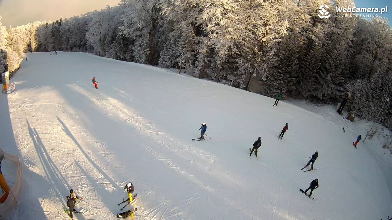 KASINA - SKI górna stacja wyciągu - 01 luty 2026, 09:25