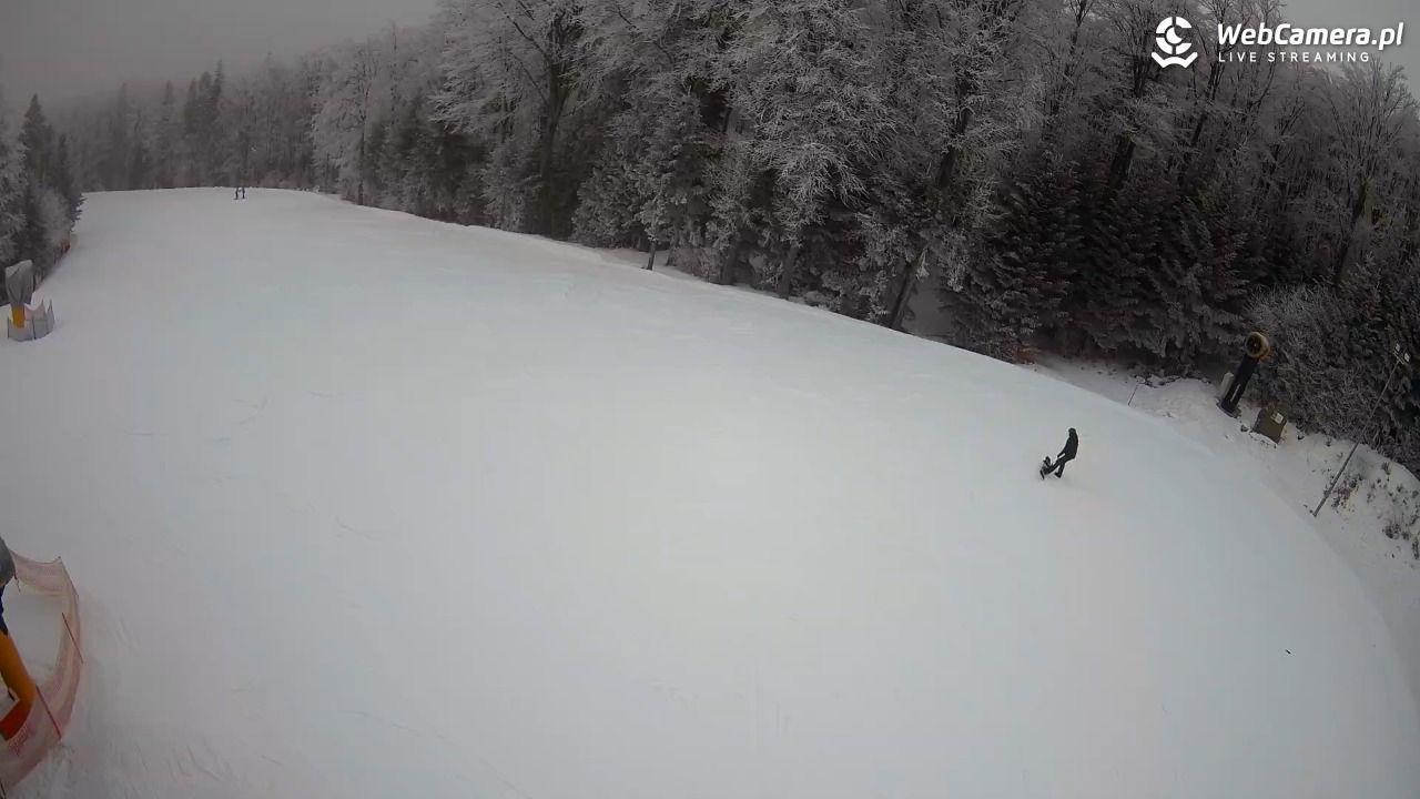 KASINA - SKI górna stacja wyciągu - 31 styczeń 2026, 15:02