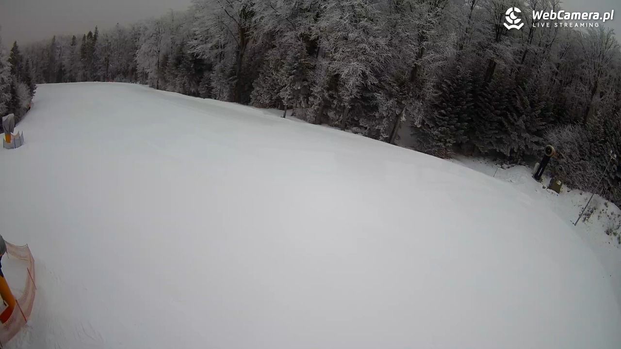 KASINA - SKI górna stacja wyciągu - 31 styczeń 2026, 15:54