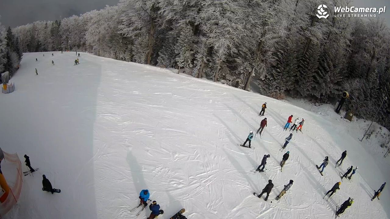 KASINA - SKI górna stacja wyciągu - 31 styczeń 2026, 11:24