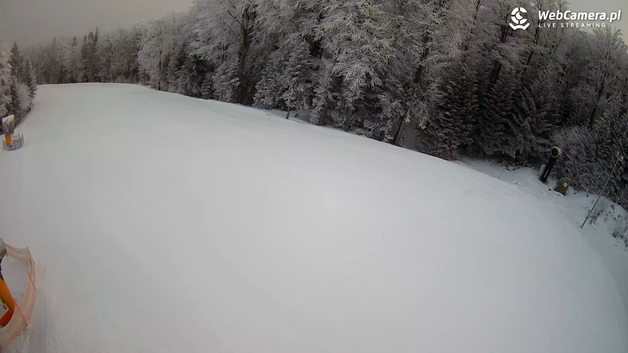 KASINA - SKI górna stacja wyciągu - 01 luty 2026, 07:53