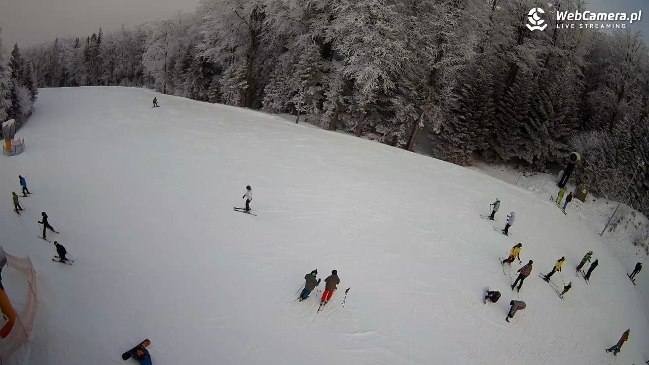 KASINA - SKI górna stacja wyciągu - 01 luty 2026, 12:07