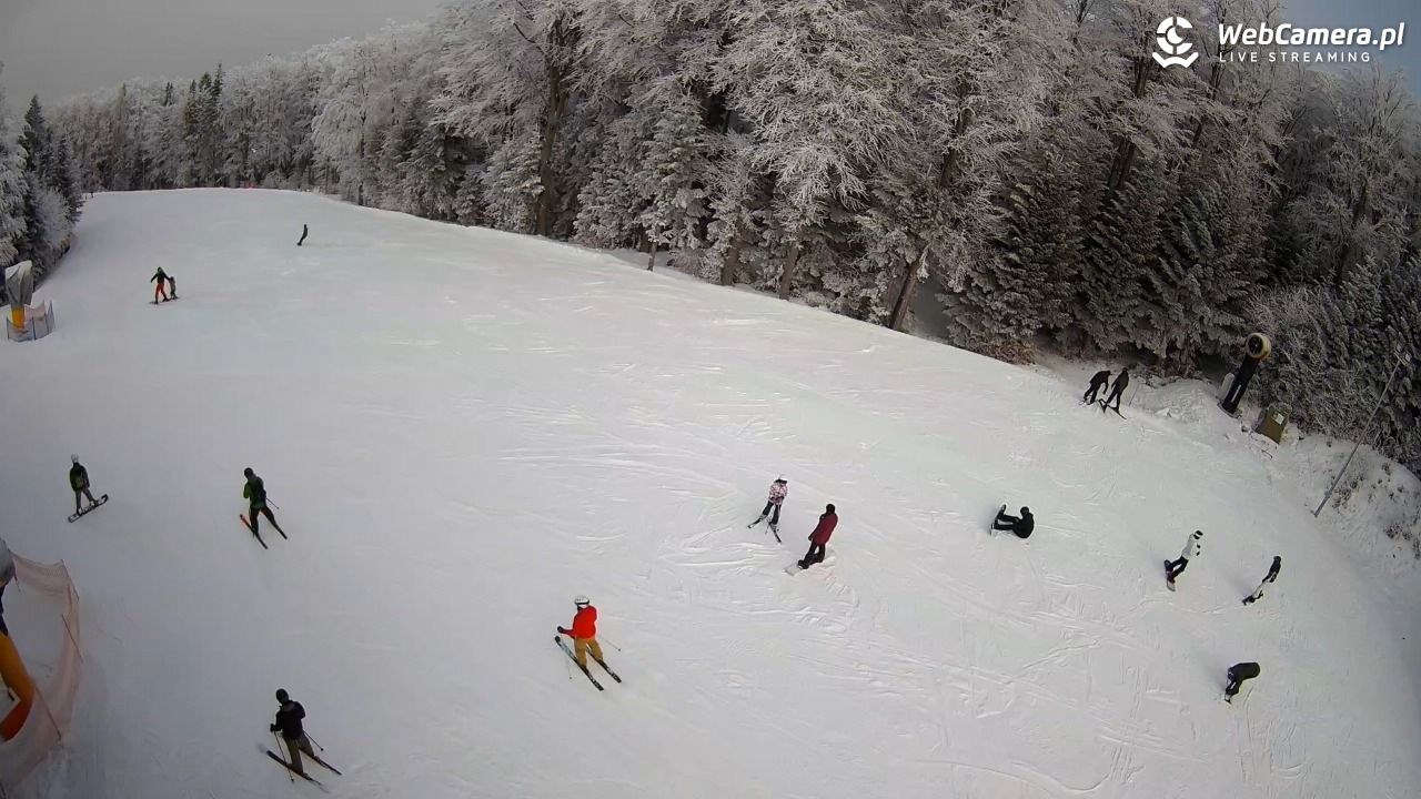 KASINA - SKI górna stacja wyciągu - 01 luty 2026, 11:44