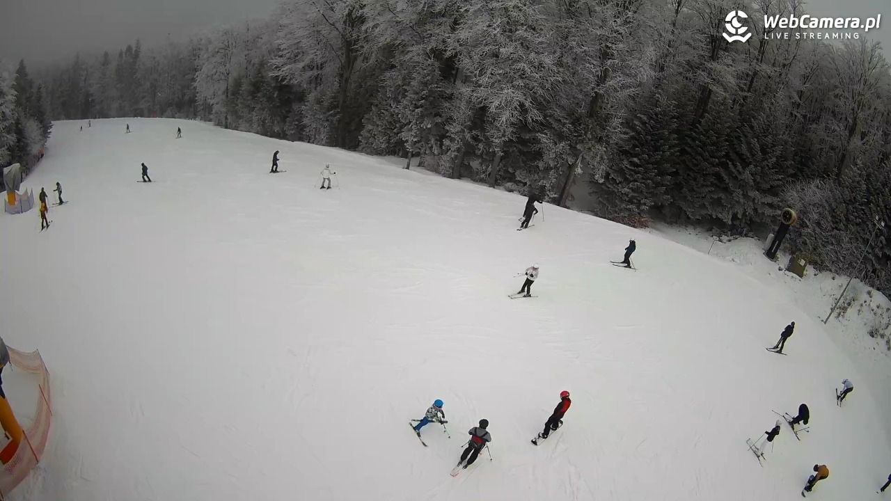 KASINA - SKI górna stacja wyciągu - 31 styczeń 2026, 12:27