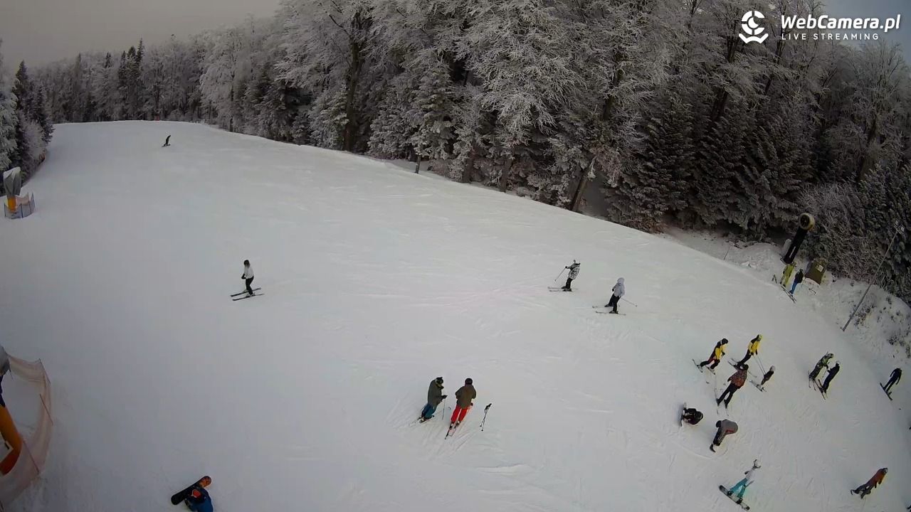 KASINA - SKI górna stacja wyciągu - 01 luty 2026, 12:07