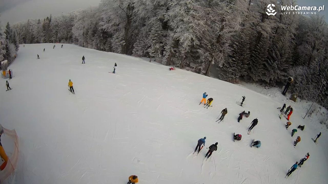 KASINA - SKI górna stacja wyciągu - 01 luty 2026, 10:24