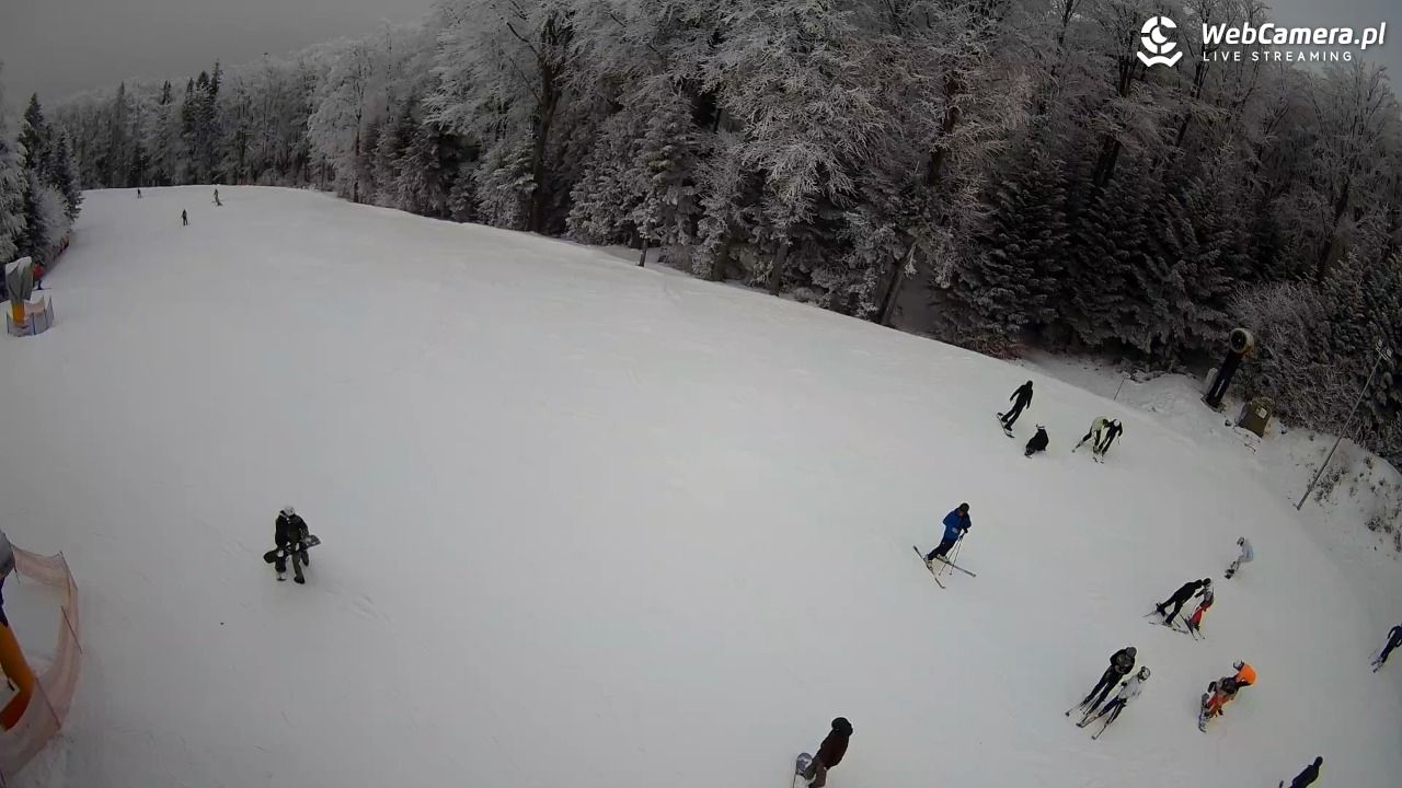KASINA - SKI górna stacja wyciągu - 01 luty 2026, 14:07