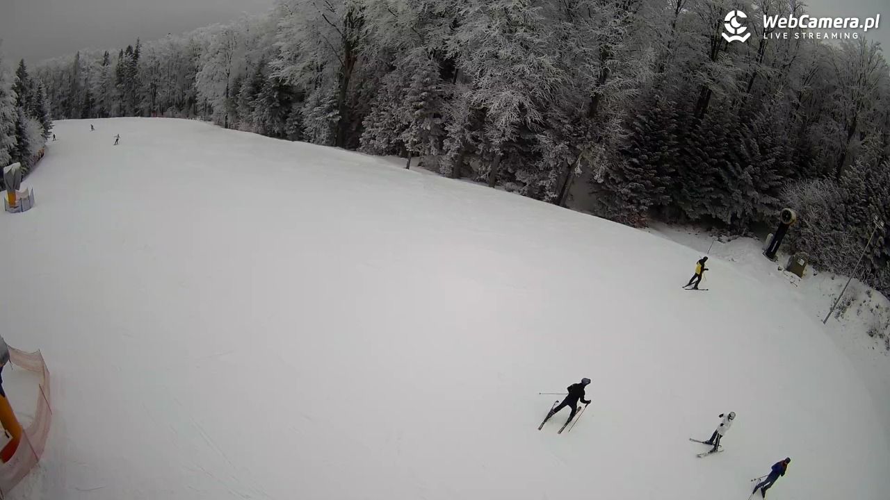 KASINA - SKI górna stacja wyciągu - 01 luty 2026, 14:57