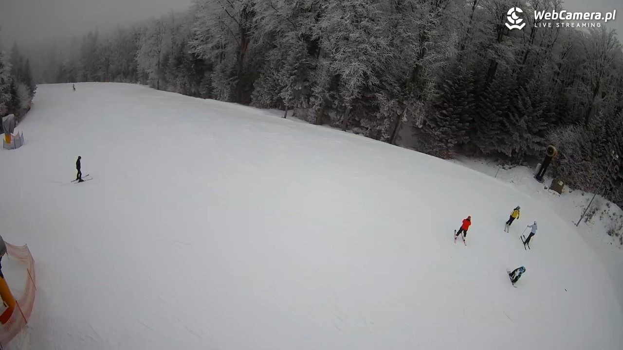 KASINA - SKI górna stacja wyciągu - 31 styczeń 2026, 14:26