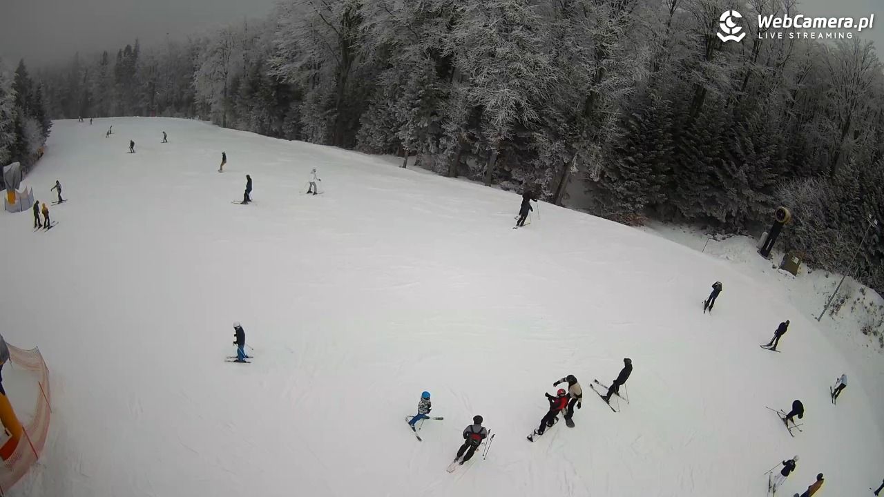 KASINA - SKI górna stacja wyciągu - 31 styczeń 2026, 12:27