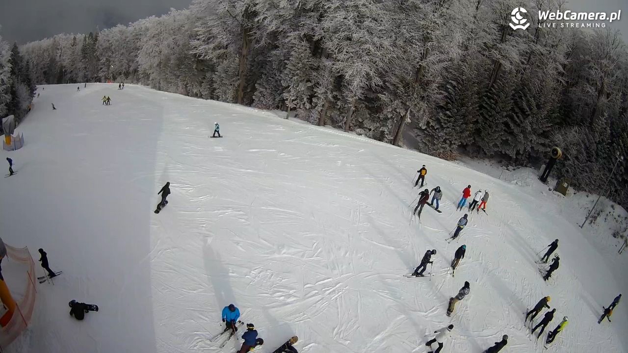 KASINA - SKI górna stacja wyciągu - 31 styczeń 2026, 11:24