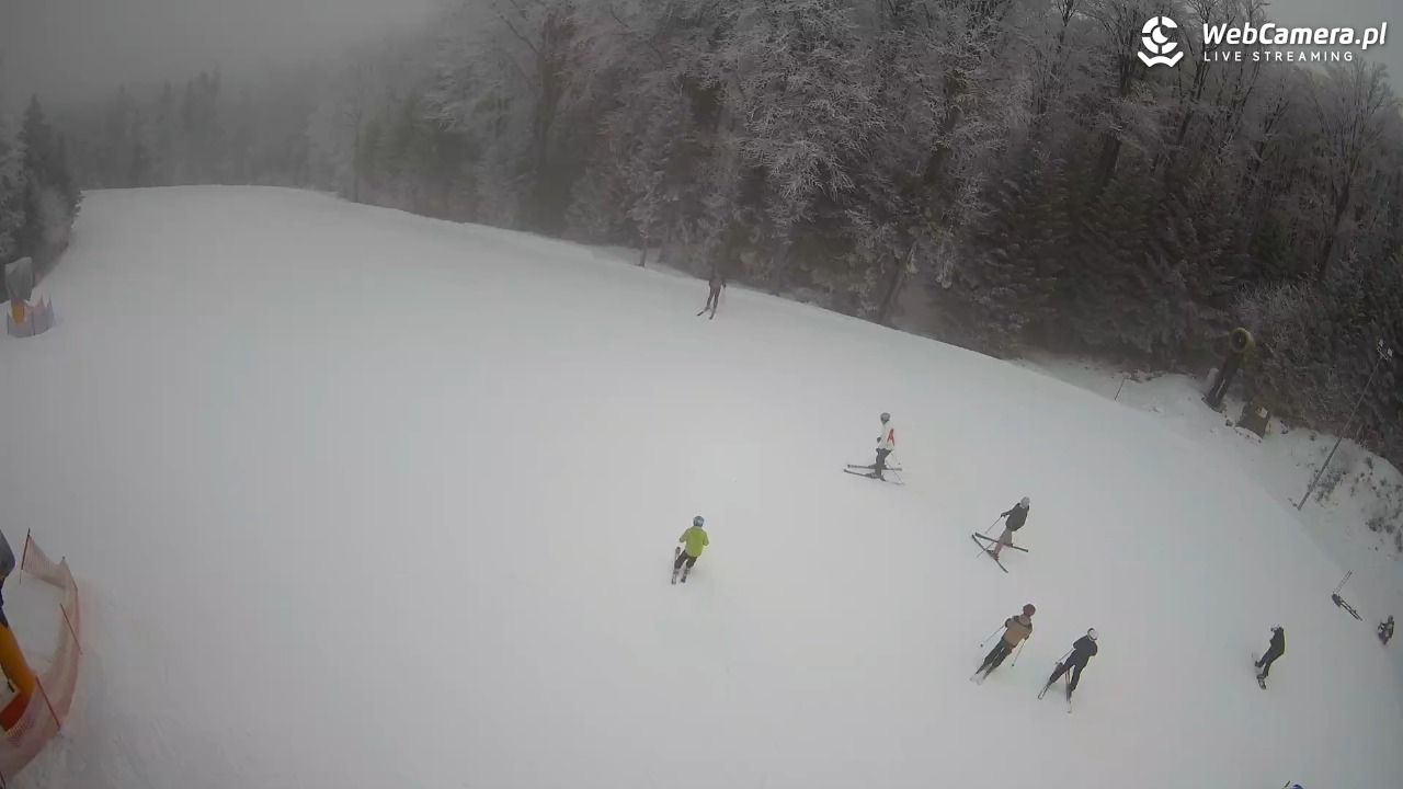 KASINA - SKI górna stacja wyciągu - 31 styczeń 2026, 09:21