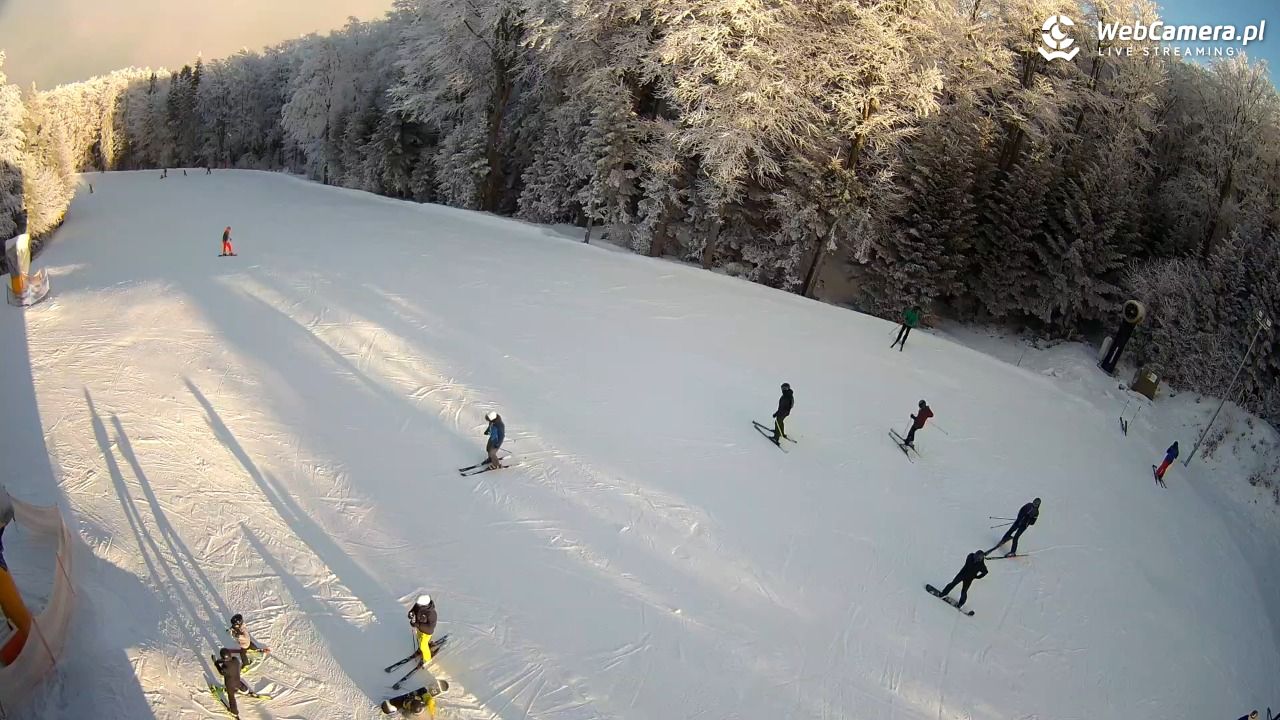 KASINA - SKI górna stacja wyciągu - 01 luty 2026, 09:25