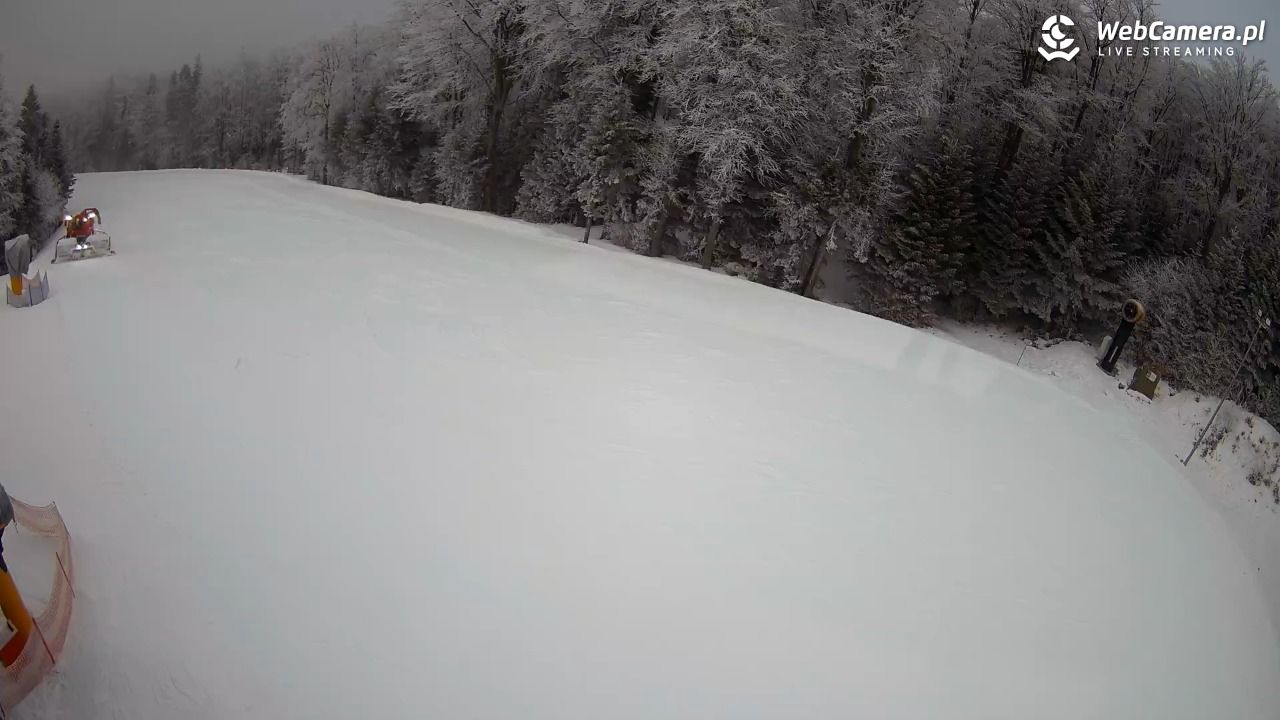 KASINA - SKI górna stacja wyciągu - 31 styczeń 2026, 15:25