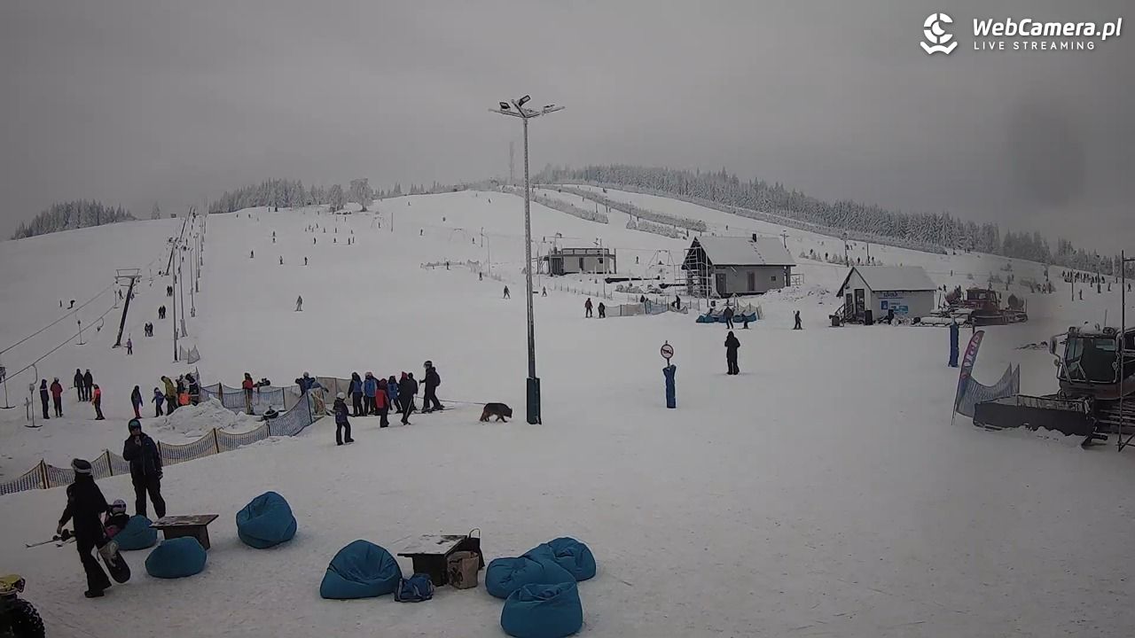 Przełęcz Sokola - narty Rzeczka NOWOŚĆ - 03 luty 2026, 11:39