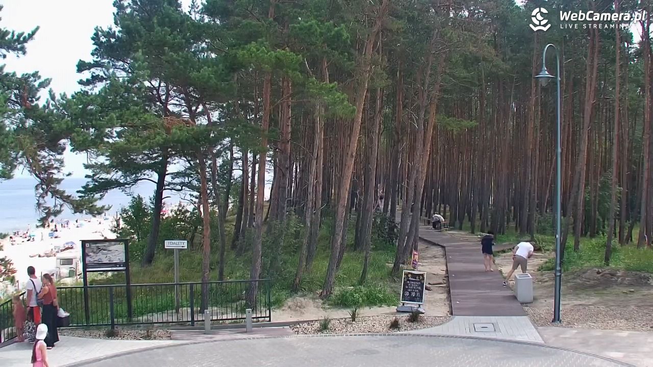 STEGNA  - widok na plażę - 26 lipiec 2025, 11:38