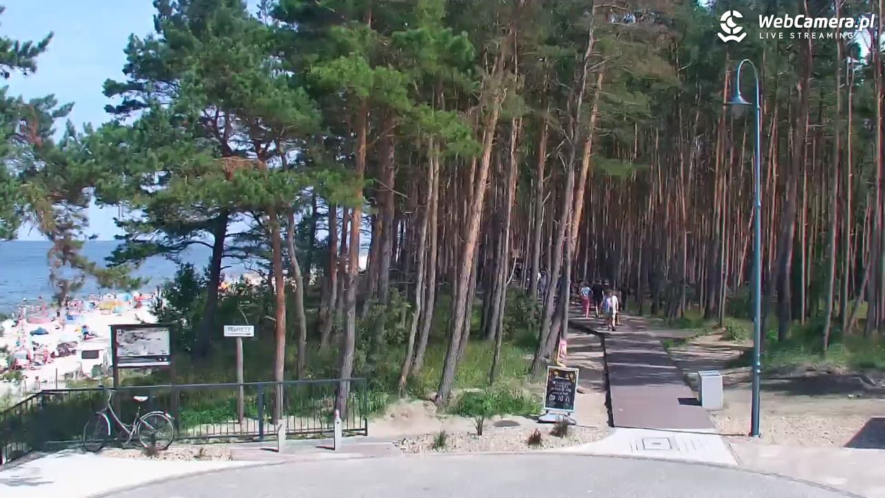 STEGNA  - widok na plażę - 27 lipiec 2025, 13:58