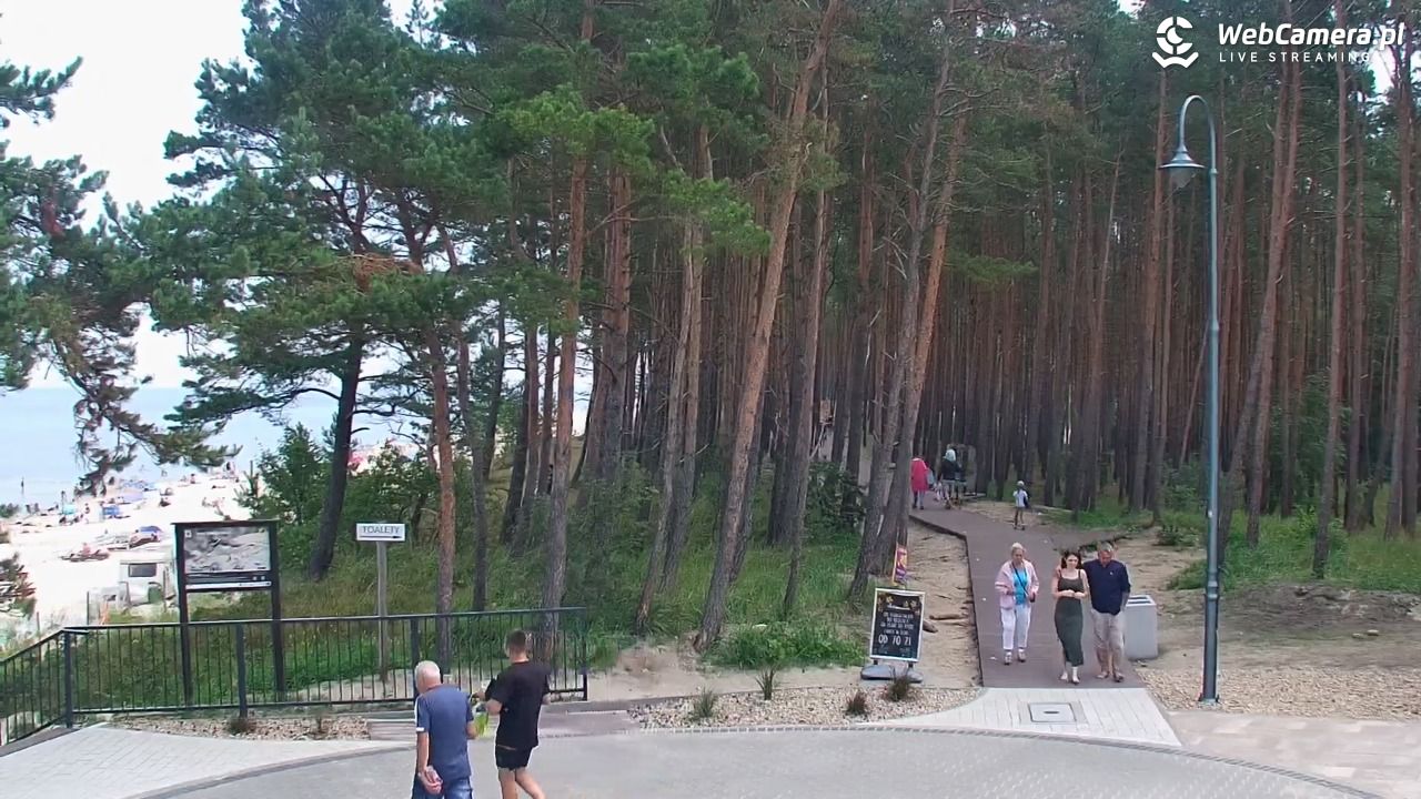 STEGNA  - widok na plażę - 26 lipiec 2025, 11:53
