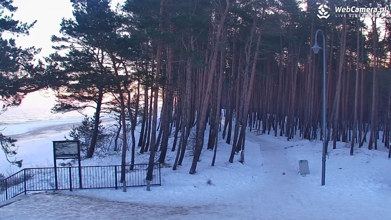 STEGNA  - widok na plażę - 02 luty 2026, 07:39
