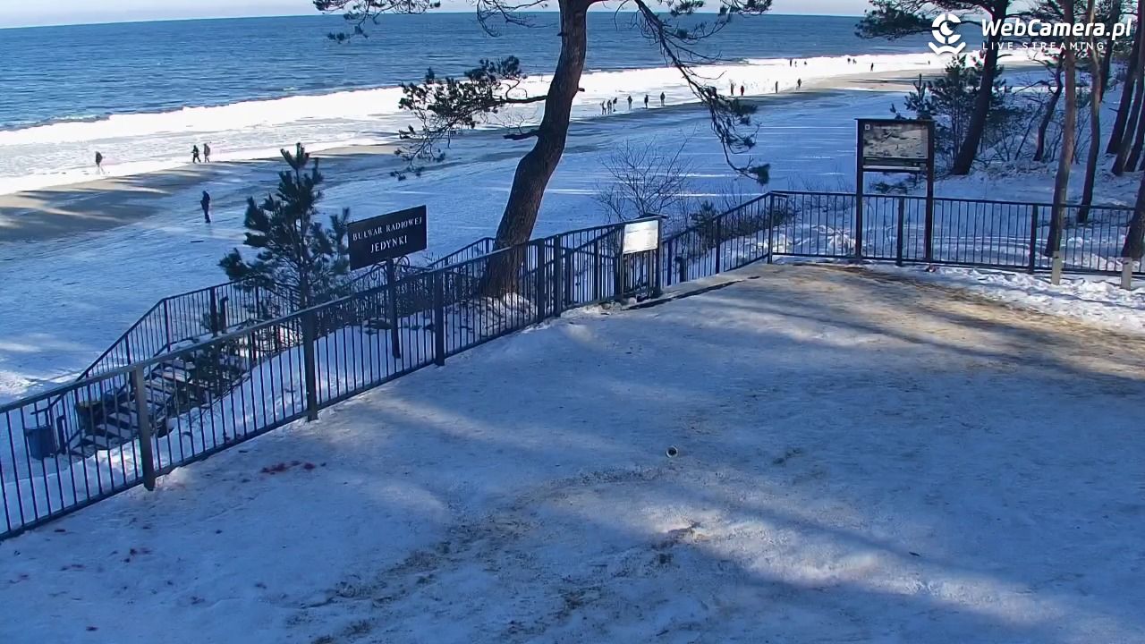 STEGNA  - widok na plażę - 01 luty 2026, 11:55