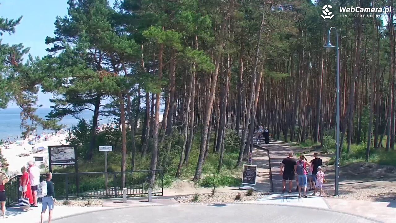 STEGNA  - widok na plażę - 26 lipiec 2025, 12:29