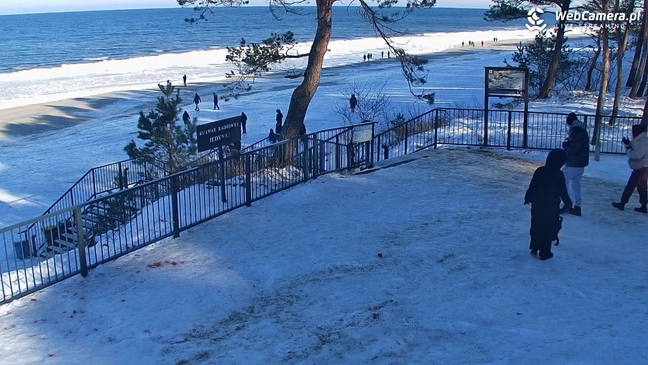 STEGNA  - widok na plażę - 01 luty 2026, 12:22