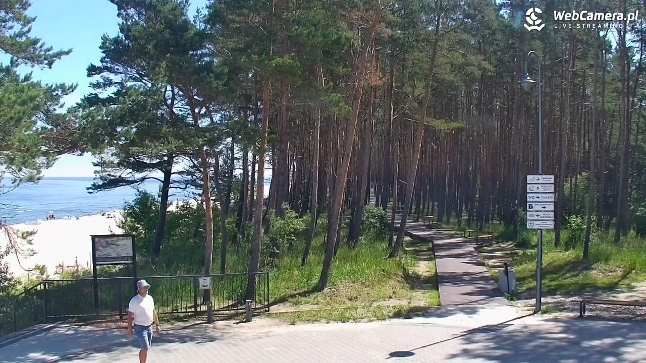 STEGNA  - widok na plażę - 23 czerwiec 2026, 10:45