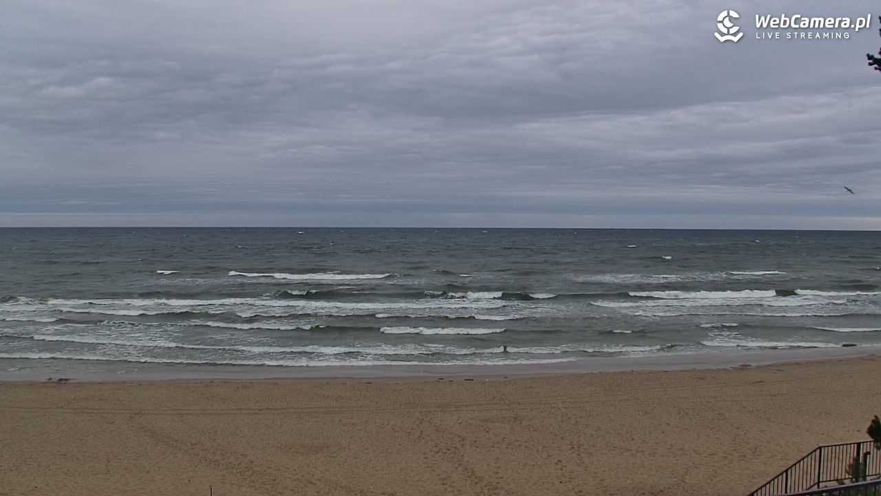 STEGNA  - widok na plażę - 06 maj 2026, 14:28