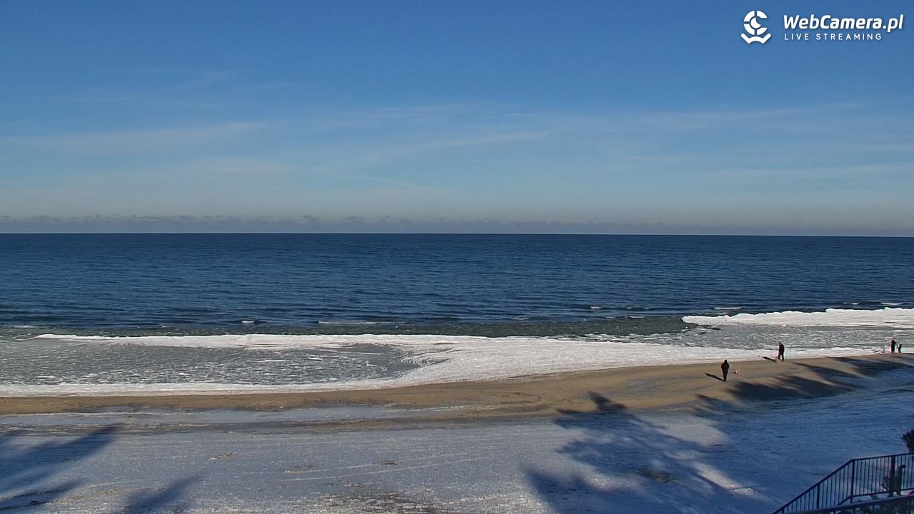 STEGNA  - widok na plażę - 01 luty 2026, 12:21