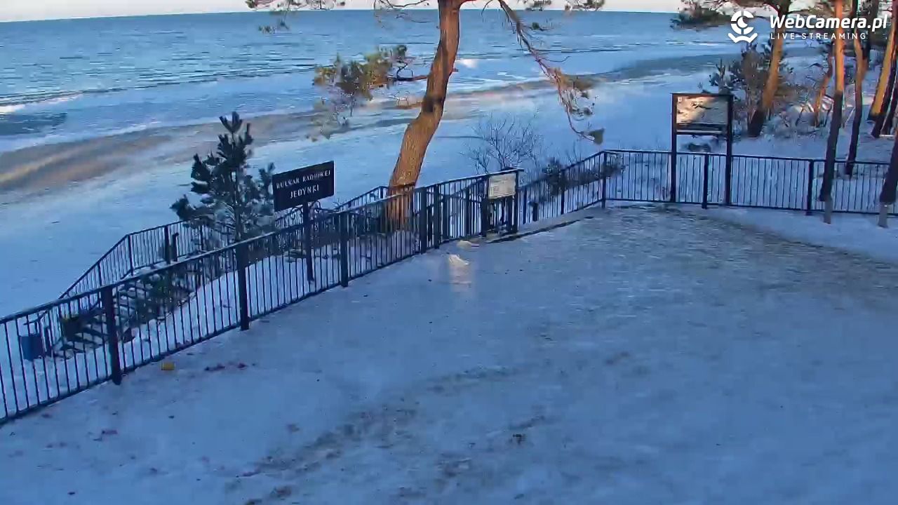 STEGNA  - widok na plażę - 02 luty 2026, 15:27