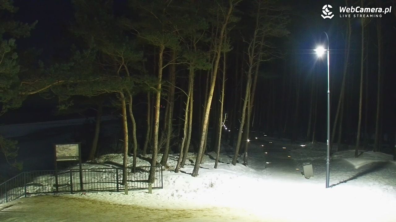 STEGNA  - widok na plażę - 01 luty 2026, 00:28