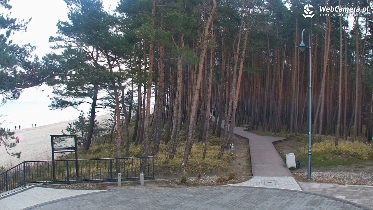 STEGNA  - widok na plażę - 14 grudzień 2025, 14:55