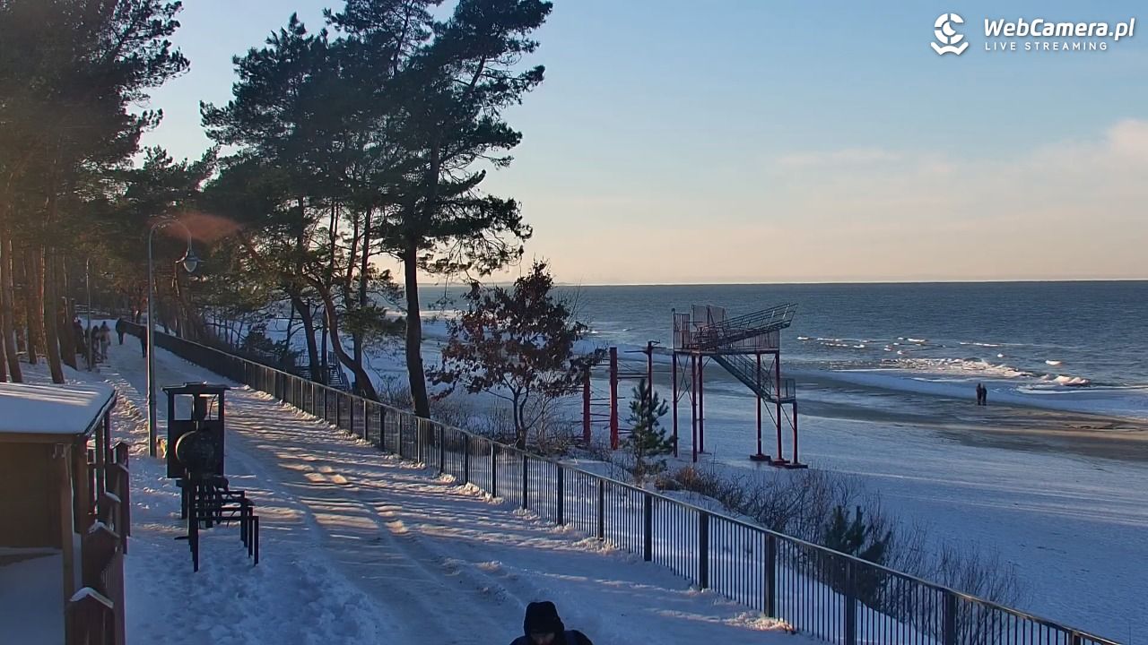 STEGNA  - widok na plażę - 02 luty 2026, 15:09