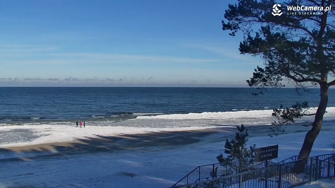 STEGNA  - widok na plażę - 01 luty 2026, 11:03